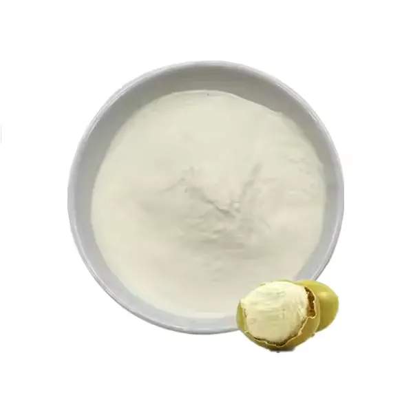 Monk Fruit Extract Powder - Image 2