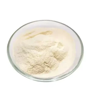 Xanthan Gum 80 and 200 Mesh